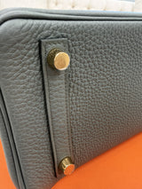 Hermès Birkin 25 Vert Amande Togo Leather With Gold Hardware Handbag