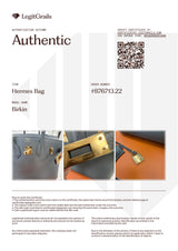 Hermès Birkin 25 Vert Amande Togo Leather With Gold Hardware Handbag