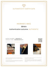 Hermes Birkin 25 Gold Togo Leather With Gold Hardware Handbag
