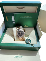 Rolex Cosmograph Daytona 40mm 116505 18K Everose Gold Chocolate Dial Watch