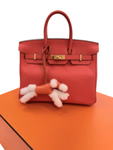 Hermes Birkin 25 Orange Poppy Togo Leather Turn-Lock Closure With Gold Hardware