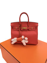 Hermes Birkin 25 Orange Poppy Togo Leather Turn-Lock Closure With Gold Hardware
