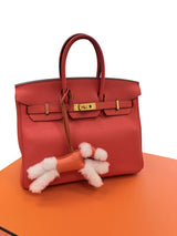 Hermes Birkin 25 Orange Poppy Togo Leather Turn-Lock Closure With Gold Hardware
