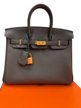 Hermès Birkin 25 Vert De Gris Togo Leather With Gold Hardware Handbag