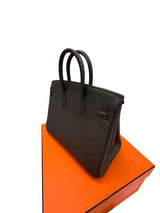 Hermès Birkin 25 Vert De Gris Togo Leather With Gold Hardware Handbag