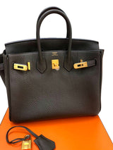 Hermès Birkin 25 Vert De Gris Togo Leather With Gold Hardware Handbag