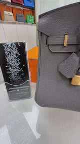 Hermes Birkin 25 Etain Togo Leather With Gold Hardware Handbag