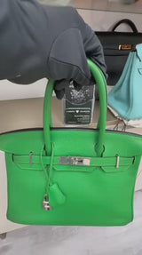 Hermès Birkin 30 Green Bamboo Togo Leather Palladium Hardware Handbag